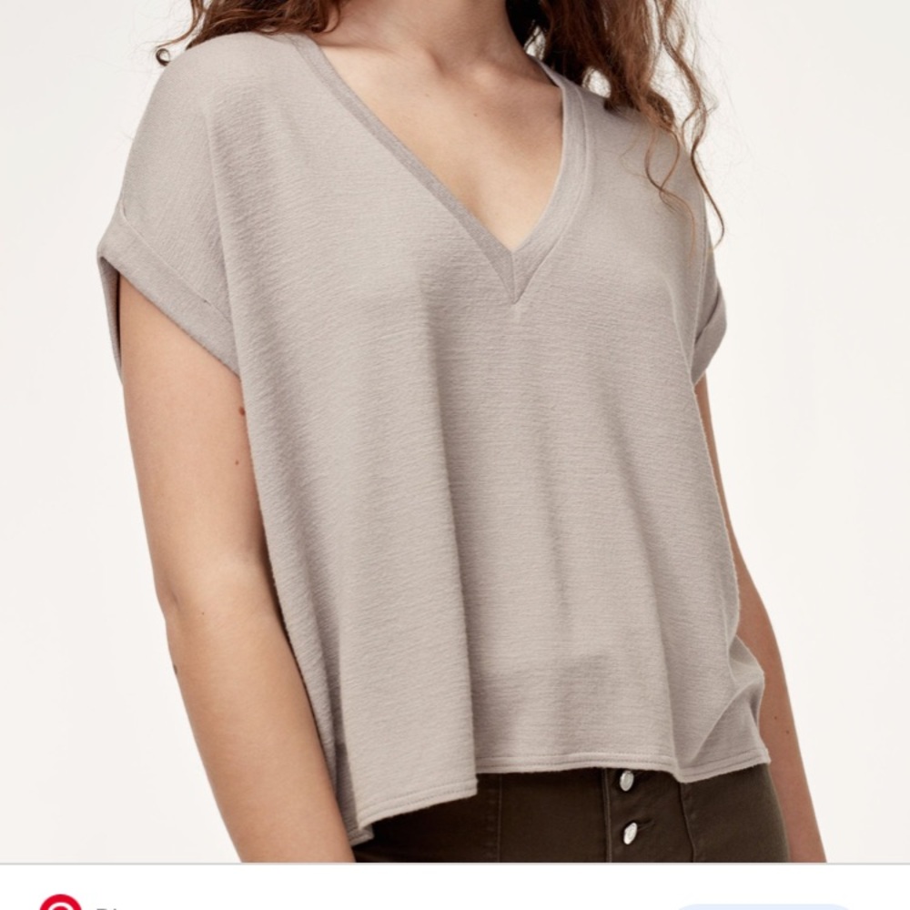 Aritzia Wilfred free brosh T-shirt